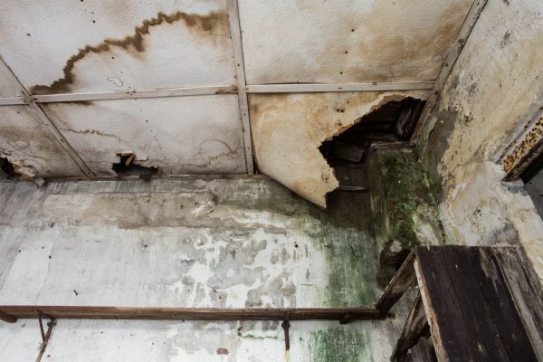 Cost of Water Damage Service in Lafayette