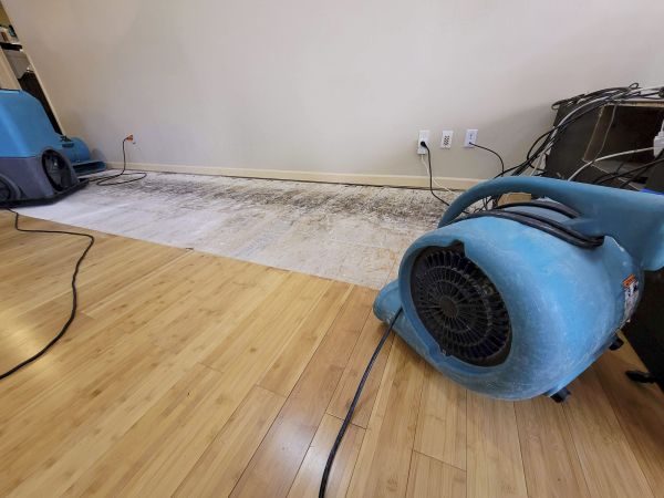 Cost of Water Damage Mitigation in Lafayette