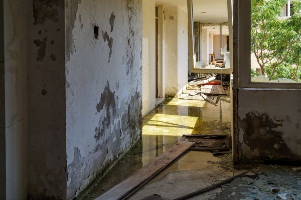 Cost of Water Removal Service in Lafayette
