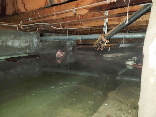 Cost of Water Mitigation Service in Lafayette